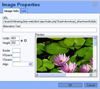 Image properties editor